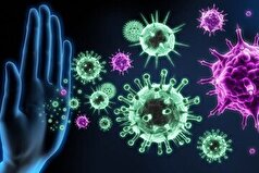 مزایای استفاده از ویتامین E برای سلامت بدن