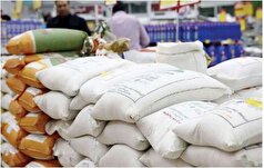 بررسی ادعای گم شدن یک ملیون تن برنج