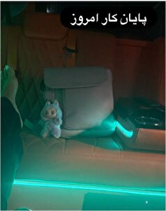 مهناز افشار با این استوری، خرید عروسک لبو بو را به نمایش گذاشت