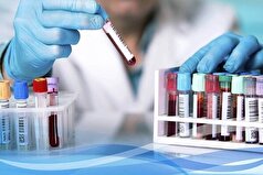 ماجرای گم شدن جنین‌های فریز شده چه بود؟