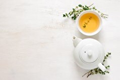 گیاه کاکوتی چیست؟ از خواص معجزه آسای آن چه میدانید؟