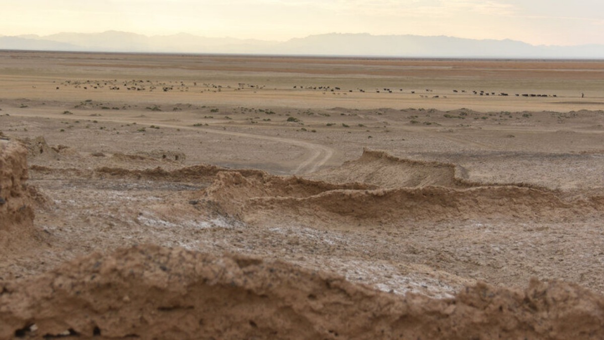 مردم محور اصلی نجات تالاب بین المللی هامون/ لزوم دیپلماسی محلی برای احیای حقابه