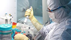 دانشمندان ماه‌ها درمان‌هایی را روی حیواناتی آزمایش می‌کنند که HIV را سرکوب می‌کنند
