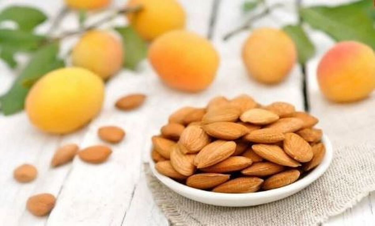 توصیه‌های متخصصان درباره مصرف هسته زردآلو