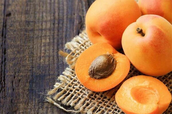 هسته زردآلو برای چی خوبه ؟ ؛ فواید و مضرات هسته زردآلو