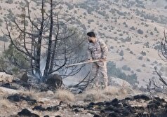 مهار آتش در اراضی کوهستانی و صعب‌العبور دشت گلیل خراسان شمالی