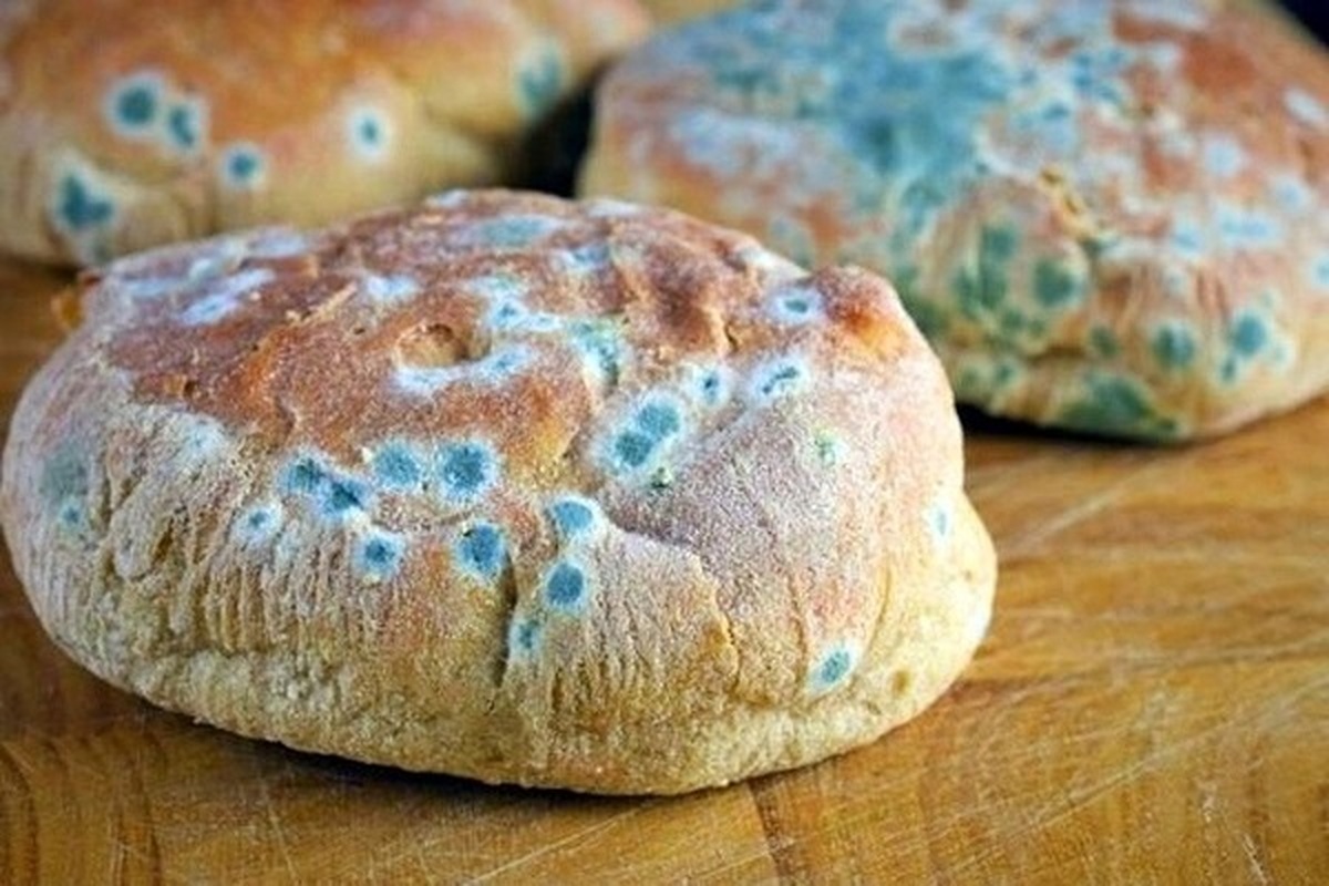 کپک خانگی محرک یک بیماری نادر ریه است!