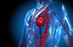 سوئیس: اختراع یک پچ سه‌بعدی برای درمان قلب