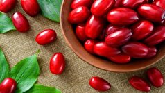 کنترل فشار و قند خون با خوردن زغال‌اخته!