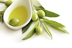 روغن‌های گیاهی میتوانند جایگزین روغن‌های پخت و پز شوند؟