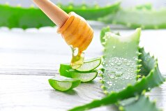 فواید درمانی نوشیدن آب آلوئه ورا!