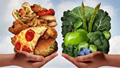 غذا‌های گیاهی فوق فرآوری شده خطر ابتلا به بیماری قلبی عروقی را افزایش می‌دهند