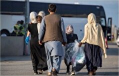 آخرین آمار از خروج مهاجران غیر مجاز