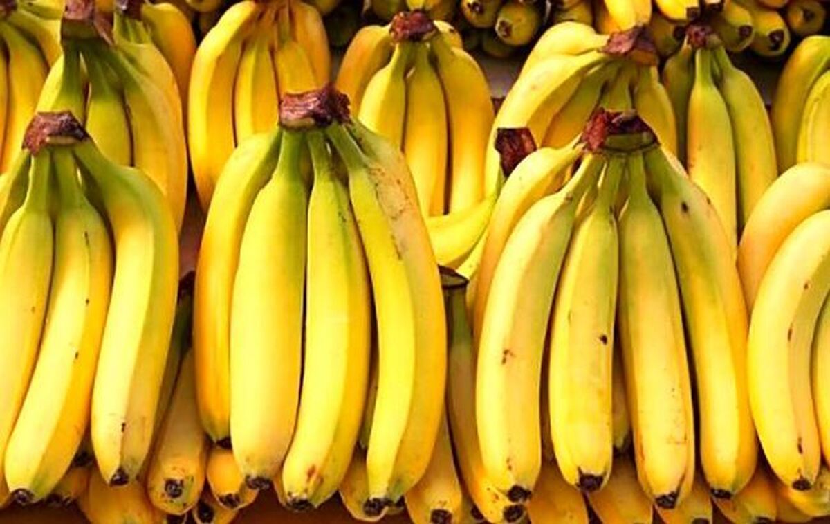 آیا می‌دانستید موز برای سلامت دندان‌های شما آسیب زننده است؟