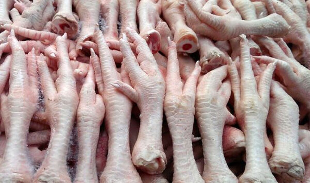 آب پای مرغ ترکیب مفید برای درد‌های مفصلی