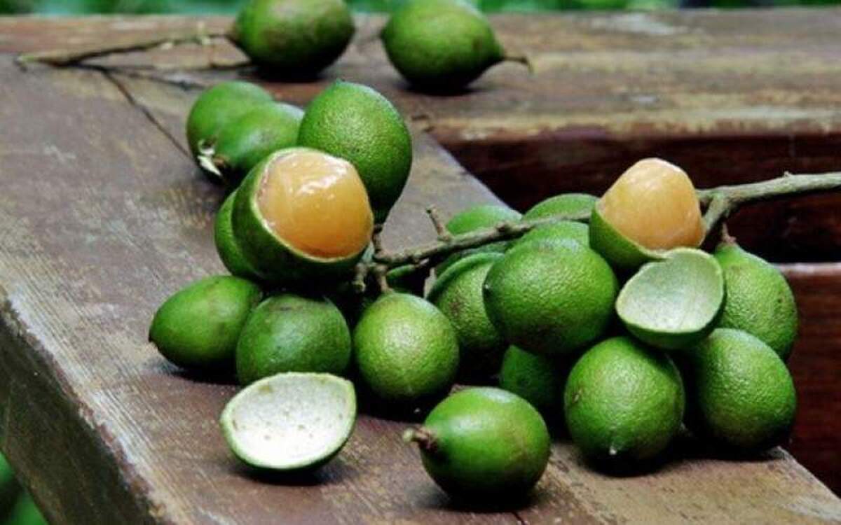 بررسی فواید لیمو ترش!