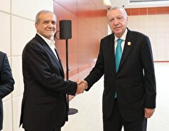 پزشکیان و اردوغان دیدار کردند