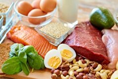 آیا مصرف بیش از حد پروتئین برای بدن و سلامتی آسیب زا است؟