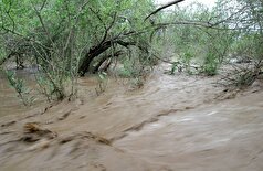 ۱۰۰۰ نفر در اثر رانش زمین که روستایی را در منطقه کوه‌های مره در غرب سودان ویران کرد، کشته شدند
