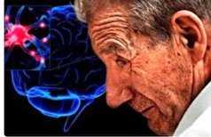 این دسته از افراد بیشتر در معرض خطر ابتلا به بیماری پارکینسون هستند