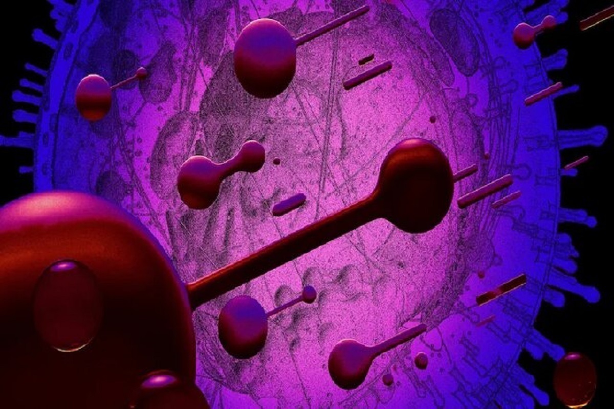 چطور اجزای سازنده حیات دور هم جمع شدند؟