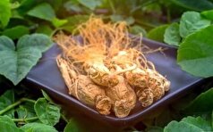 راهنمایی عملی برای نحوه مصرف و جینسینگ