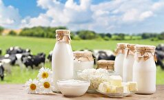 مقابله با سرطان‌ها با یک خوراکی دم دستی که همه میتونن ازش استفاده کنن!