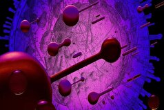 چطور اجزای سازنده حیات دور هم جمع شدند؟