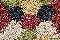 لوبیا چیتی ایرانی و وارداتی ارزان شد/ مصرف کنندگان منتظر کاهش بیشتر باشند؟