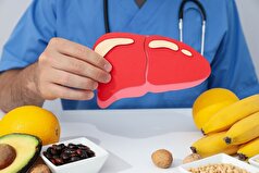 احساس گرسنگی و بوی غذا باعث فعالیت کبد می‌شود