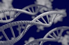 JEM: جهش ژنی نادر، کلید پیشگیری از دیابت نوع ۱ است