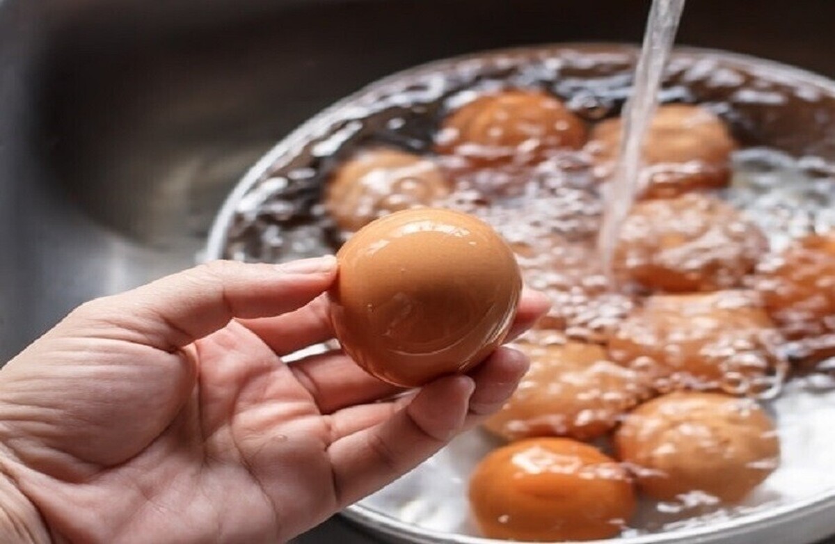 آیا قبل از گذاشتن تخم‌مرغ‌ها در یخچال، آنها را می‌شویید؟ یک متخصص به این جنجال پایان می‌دهد و حقیقت را آشکار می‌کند