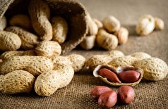 با این آجیل به جنگ پیری بروید