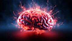 گرما با مغز چه میکند؟