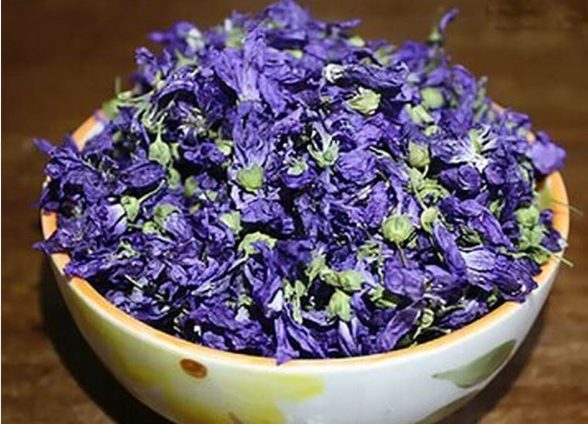 از خواص بی نظیر گل ختمی در درمان سرفه‌های آزار دهنده غافل نشوید