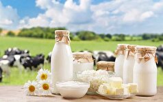 لبنیات مفید برای مقابله با سرطان!
