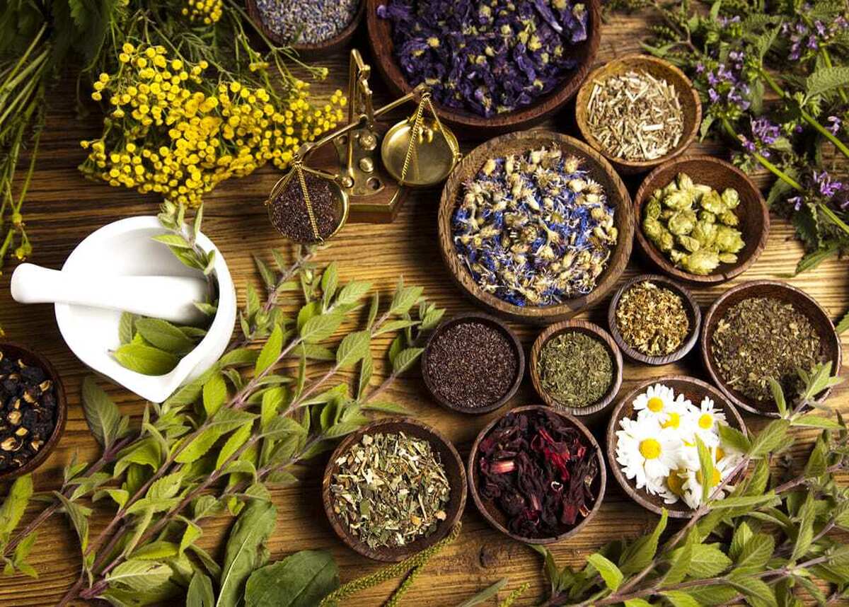 ETNT فهرستی از مفیدترین گیاهان و ادویه‌ها برای انسان را گردآوری کرده است.
