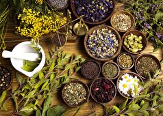 ETNT فهرستی از مفیدترین گیاهان و ادویه‌ها برای انسان را گردآوری کرده است.
