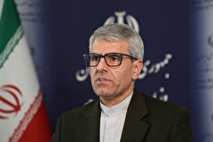 بقائی: پیگیری‌ها برای آزادی مشروط و انتقال مهدیه اسفندیاری به مکانی خارج از زندان ادامه دارد