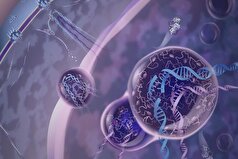 دانشمندان مکانیسم جدیدی برای ترمیم DNA کشف کردند