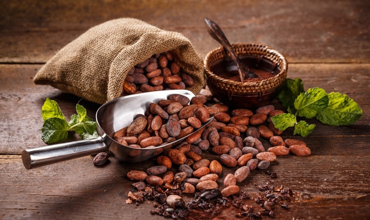 پزشکان فواید کاکائو را برای زنان بالای ۵۰ سال توضیح دادند