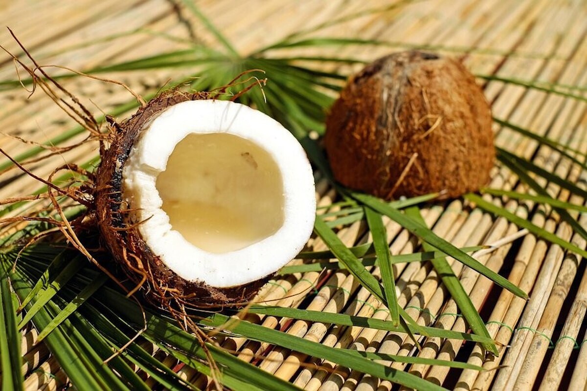 Healthline: روغن نارگیل درمانی برای کاهش وزن نیست