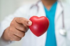 چاقی تنها دلیل پیری قلب نیست