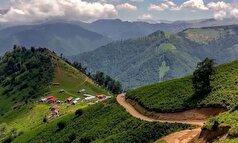 روستای ییلاقی ارده؛ طبیعتی آرامشبخش که شما را به خود طبیعی تان باز می‌گرداند!