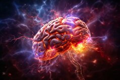 روان درمانی چه تاثیری بر ساختار مغز دارد؟