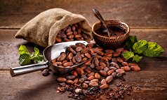 پزشکان فواید کاکائو را برای زنان بالای ۵۰ سال توضیح دادند