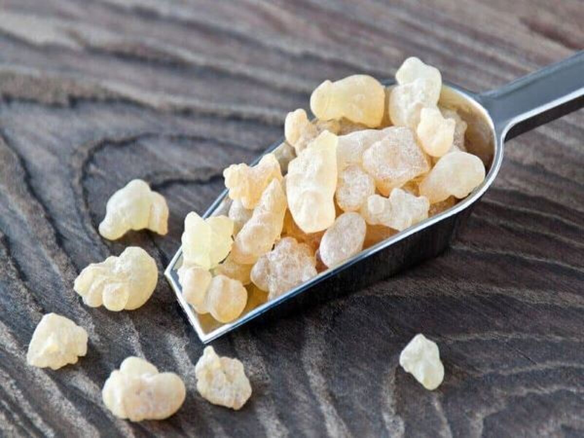 کتیرا چیست؟ چه فوایدی دارد؟