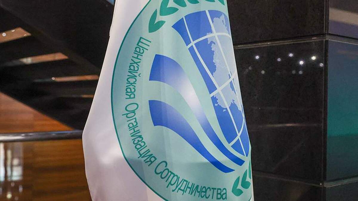 رئیس جمهور فنلاند نسبت به خطر شکست غرب در برابر کشور‌های عضو سازمان همکاری شانگهای هشدار داد.