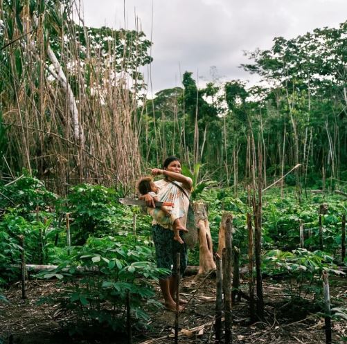 قبیله عجیب و منزوی «ماشکو پیرو» در آستانه نابودی