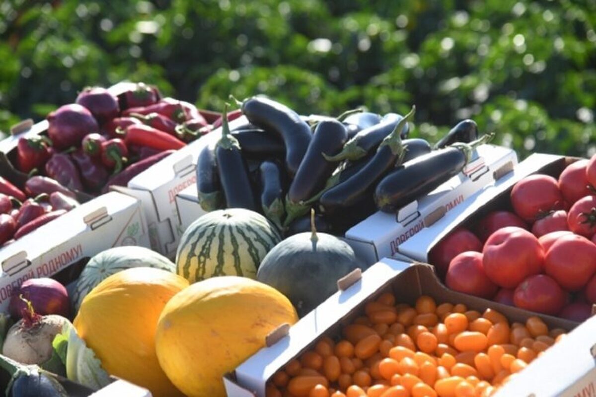 متخصصان توضیح داده‌اند که چه غذا‌هایی باید در فصل بهار در رژیم غذایی کودک گنجانده شود.